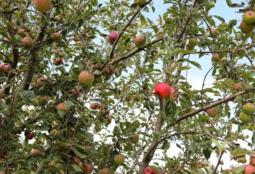 Fruitpark Hotel & Spa