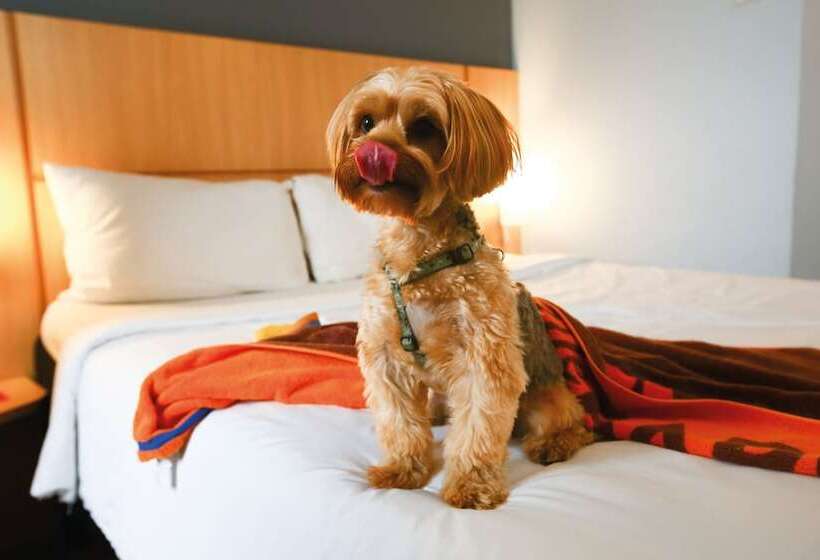 هتل Ibis Budget Rio De Janeiro Nova America