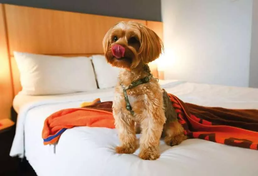 Hotelli Ibis Budget Rio De Janeiro Nova America