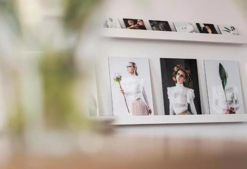 Majatalo Base Ii   Das Bed & Breakfast Bei Basel