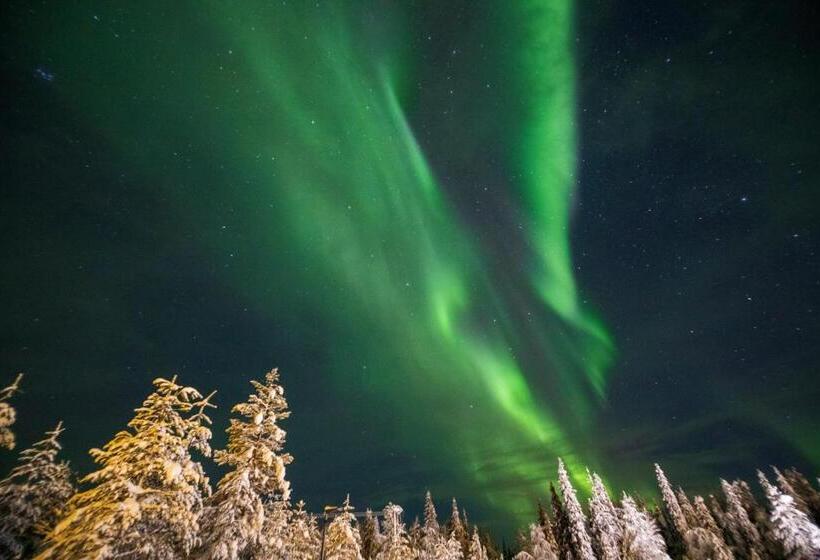 استراحتگاه Northern Lights Village Levi