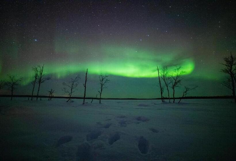 استراحتگاه Northern Lights Village Levi