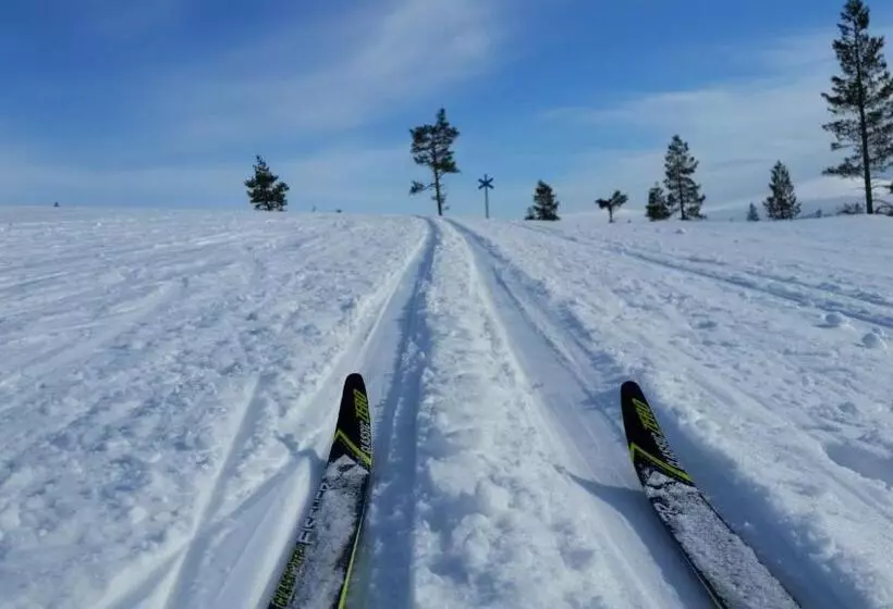 リゾートホテル Northern Lights Village Levi