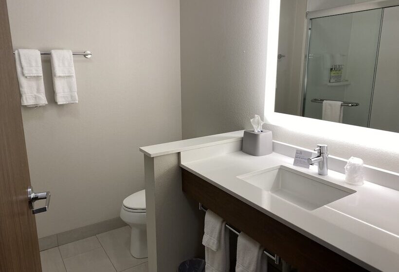 Hotel Holiday Inn Express & Suites Junction, An Ihg