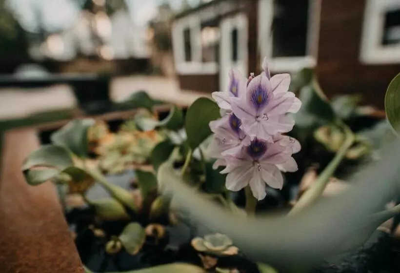 تختخواب و صبحانه Aquapark Design Rooms