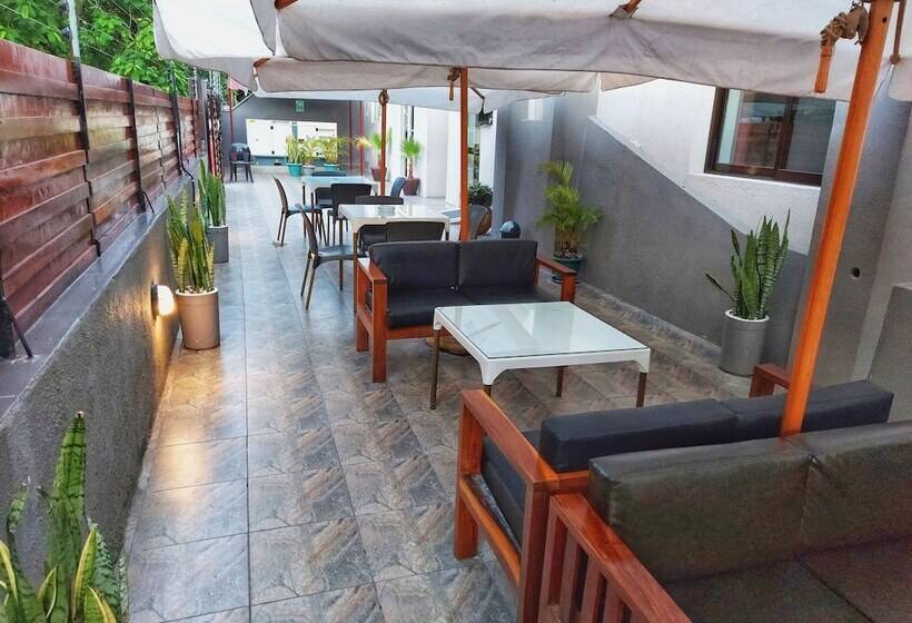 پانسیون Stay Inn Guest House