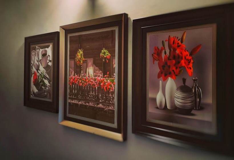 پانسیون Stay Inn Guest House