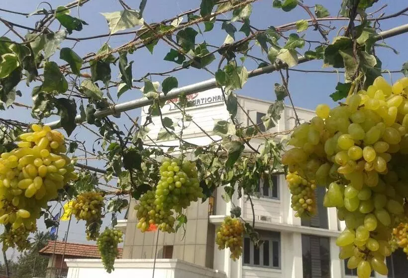 Hotelli Merlin International