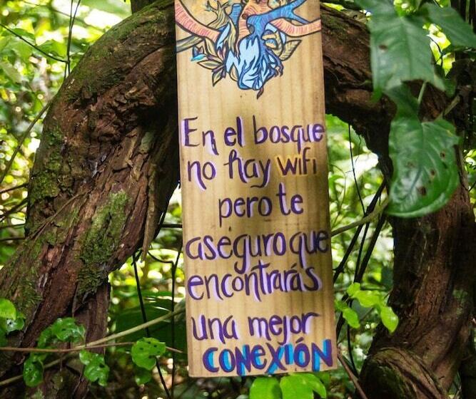 هاستل Teva Hotel & Jungle Reserve