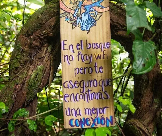 Retkeilymaja Teva Hotel & Jungle Reserve