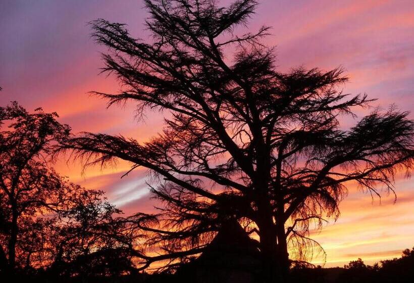 酒店 Château De Tauzies, The Originals Relais