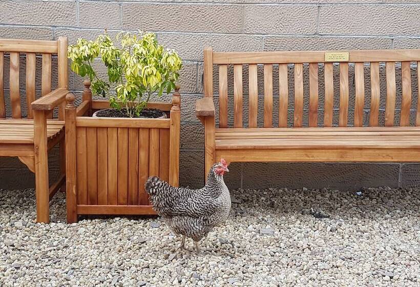 ペンション The Old Schoolhouse