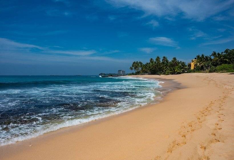 فندق Tabula Rasa Resort & Spa