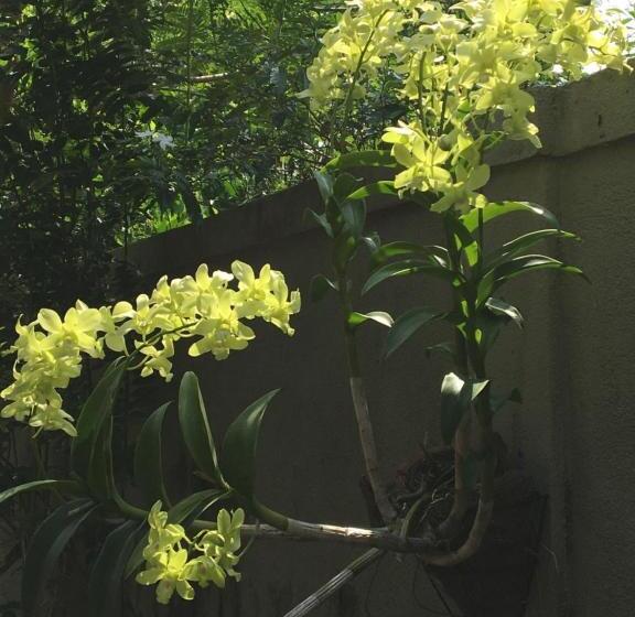 צימר Agasthi Airport Close