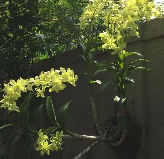 ベッドアンドブレックファースト Agasthi Airport Close