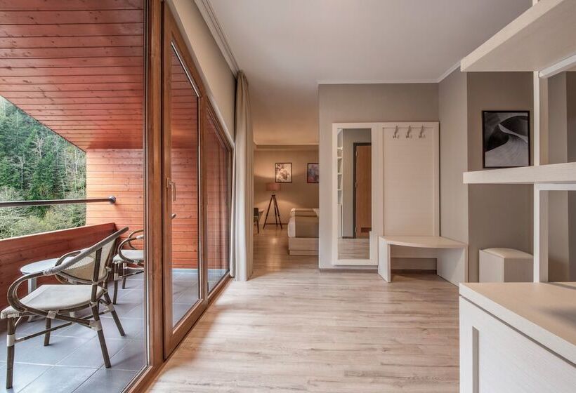 Sairme Hotels & Resorts