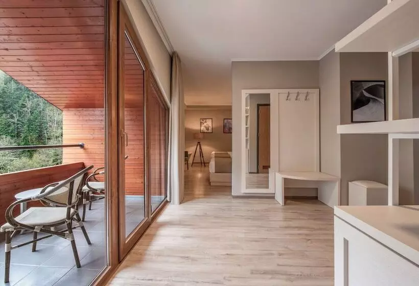 Sairme Hotels & Resorts