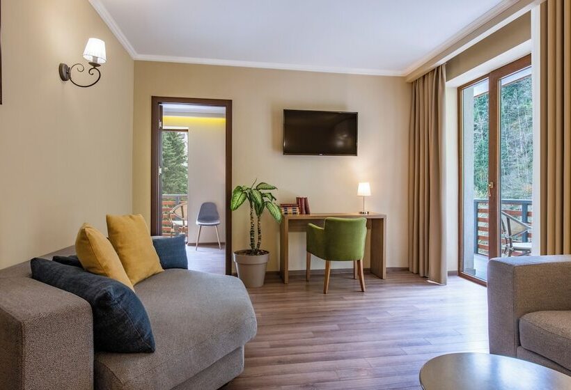 Sairme Hotels & Resorts