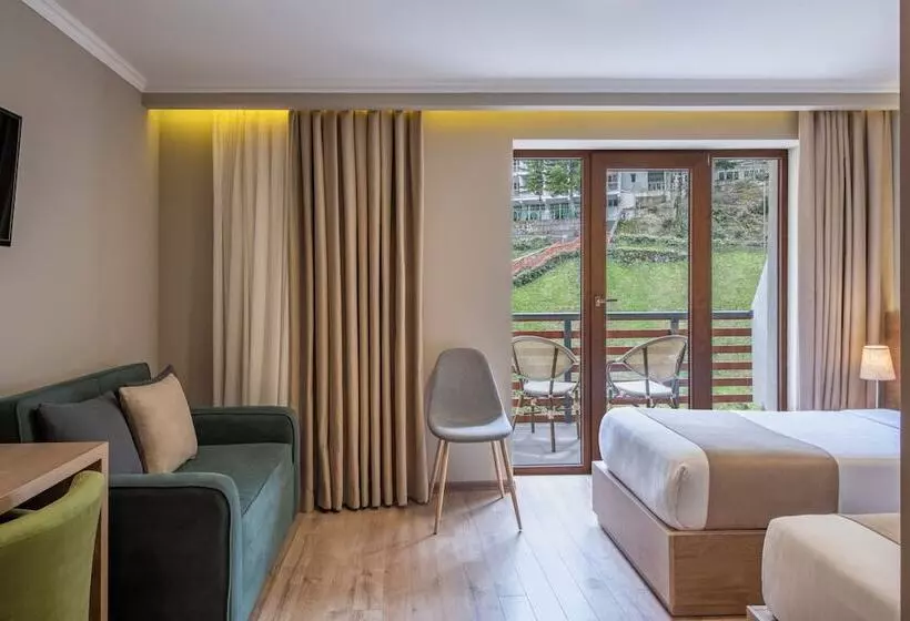 Sairme Hotels & Resorts