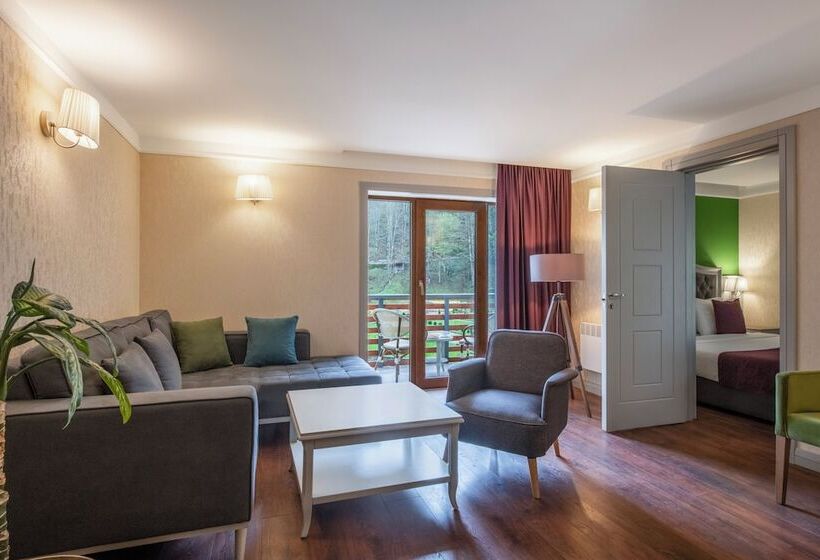 Sairme Hotels & Resorts