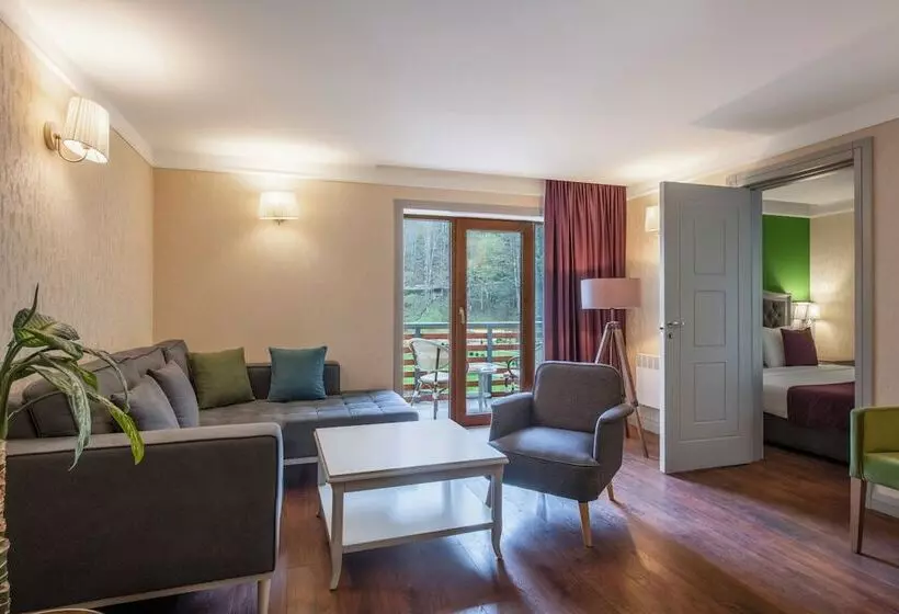 Sairme Hotels & Resorts