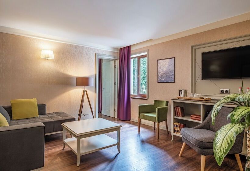 Sairme Hotels & Resorts