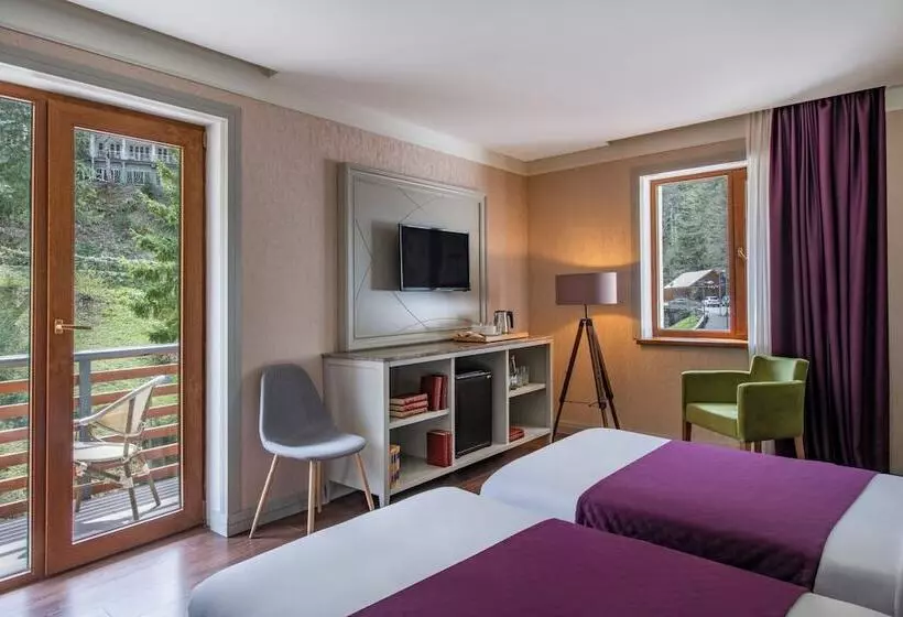 Sairme Hotels & Resorts