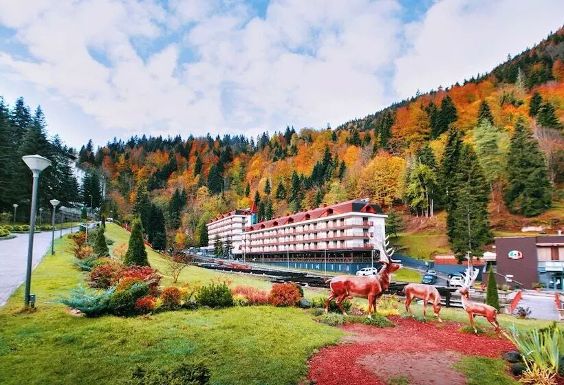 Sairme Hotels & Resorts