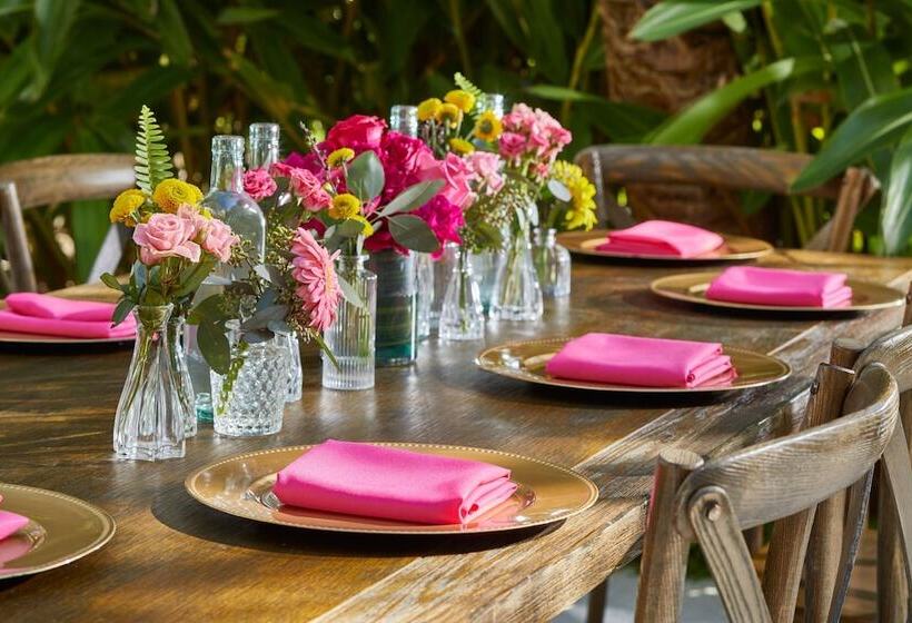 호텔 The Sarasota Modern, A Tribute Portfolio