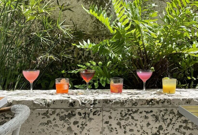 호텔 The Sarasota Modern, A Tribute Portfolio