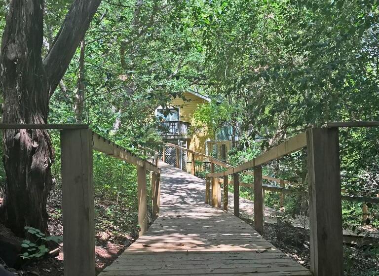 Bed And Breakfast On White Rock Creek