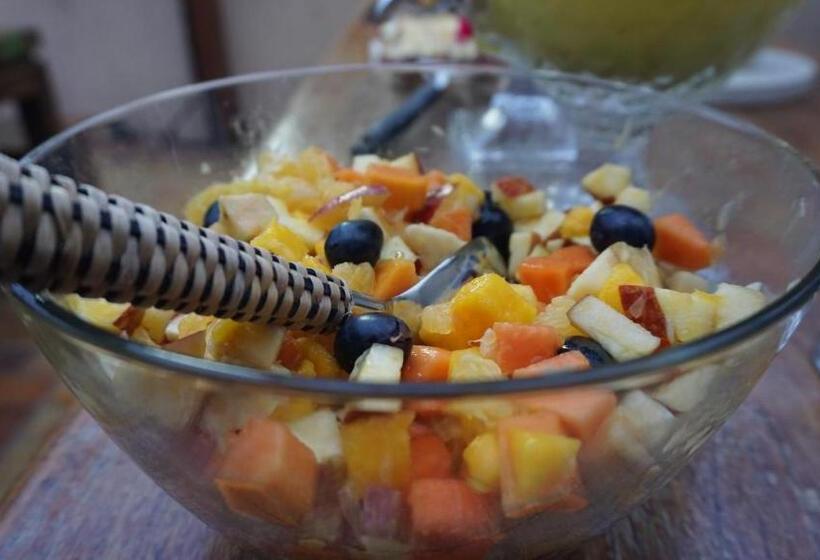 הוסטל Pousada Blumenau