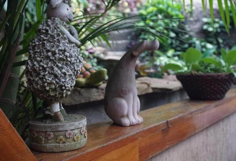 הוסטל Pousada Blumenau