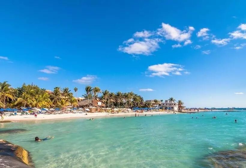 ホテル Holiday Inn Express & Suites   Playa Del Carmen, An Ihg