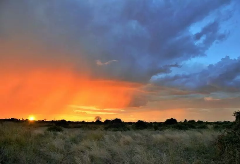 Hotel Jackalberry Chobe