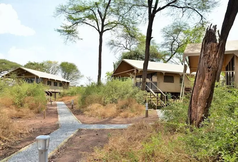 Hotel Jackalberry Chobe