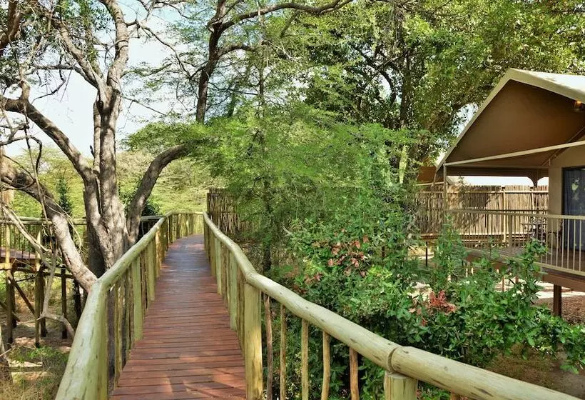 Hotel Jackalberry Chobe