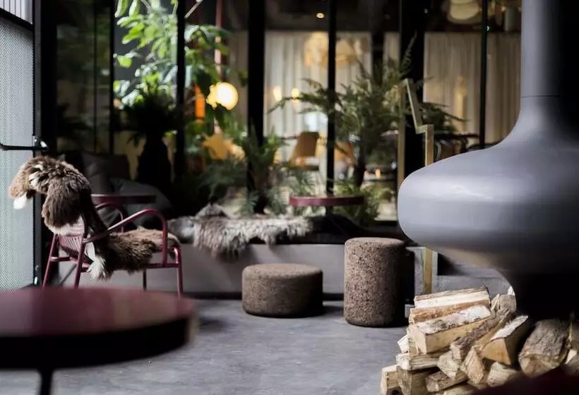 هاستل Yust Antwerp