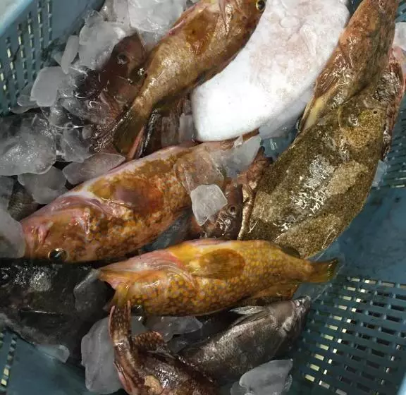 ホテル Waterside Cottage Heron