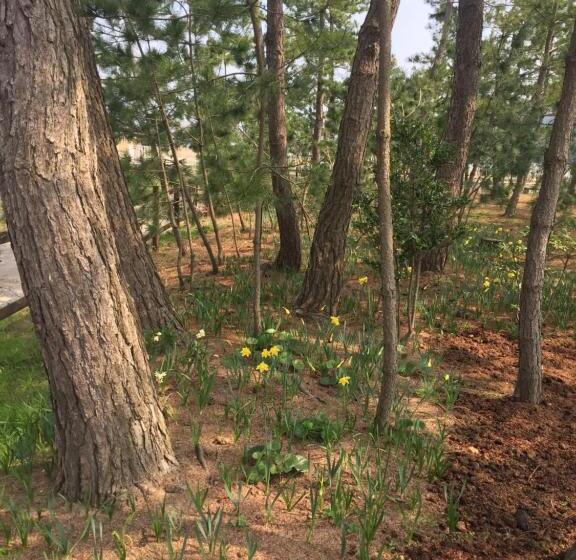 هتل Waterside Cottage Heron