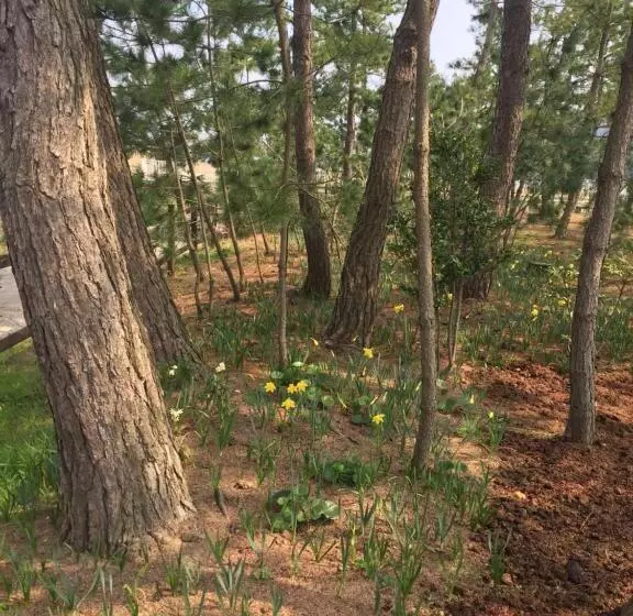ホテル Waterside Cottage Heron
