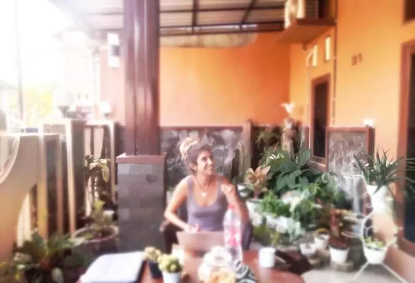 Pension Mocca Guest House