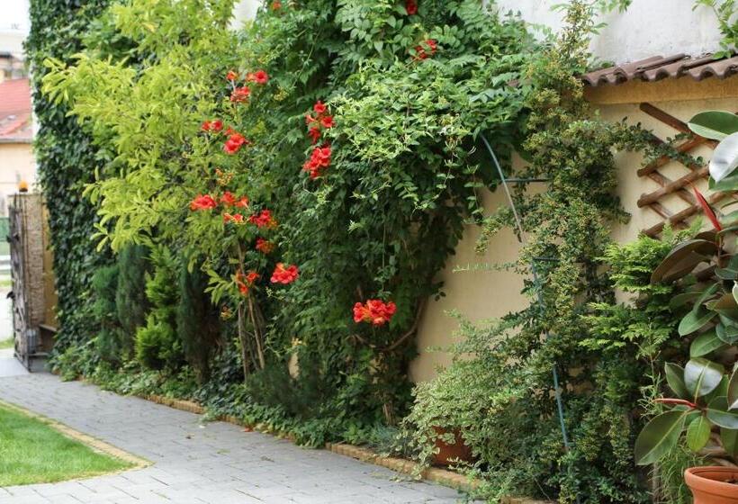 پانسیون Oli House