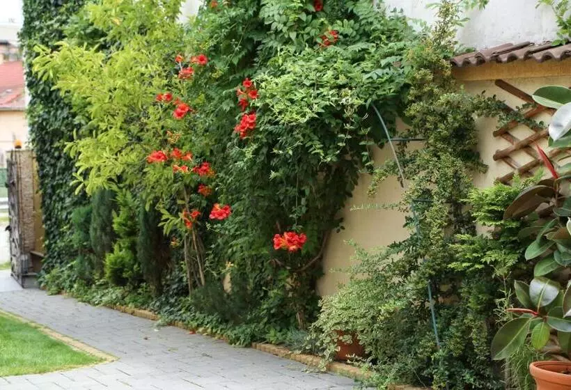 ペンション Oli House