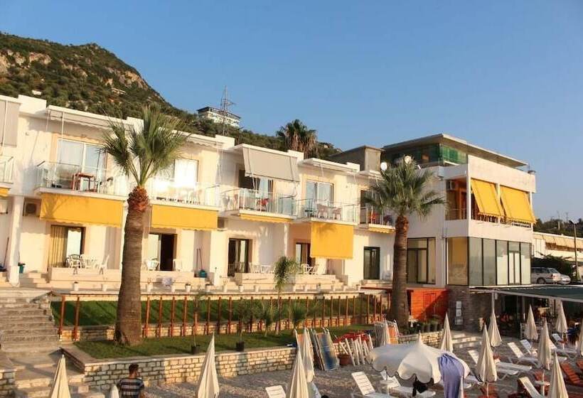 בית מלון כפרי Palmanova Beach Mardok