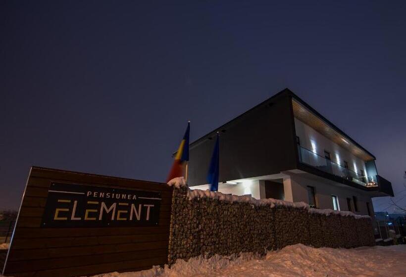 پانسیون Element