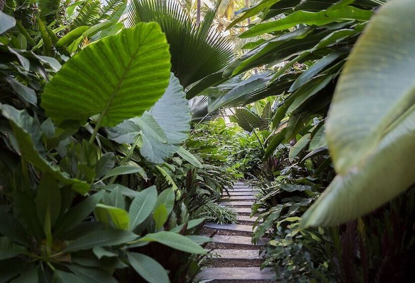 هتل Ness By D Ocean