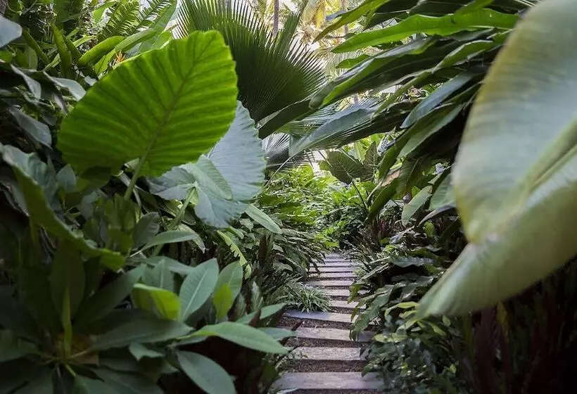 هتل Ness By D Ocean