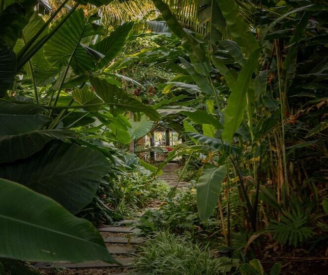 هتل Ness By D Ocean