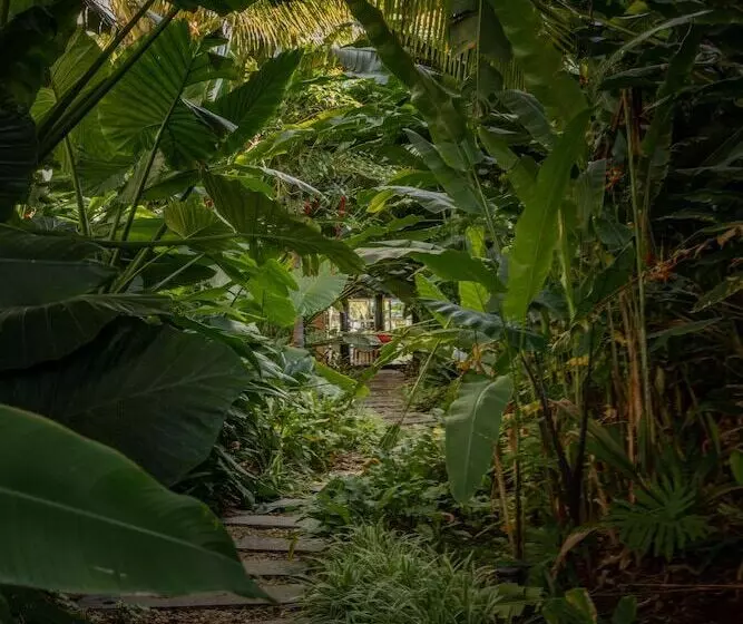 هتل Ness By D Ocean